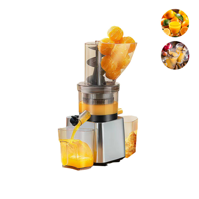 Juicer Cold Press Slow - 500W Sıcak Satış Gümüş Renkli Gövdeli