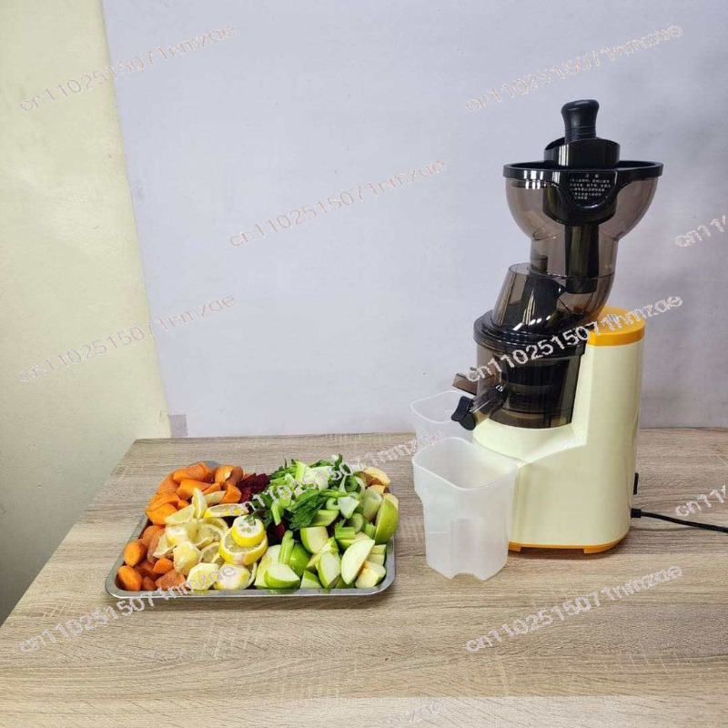 Juicer Cold Press Slow - 76mm Büyük Çaplı Yavaş Sıkım Meyve