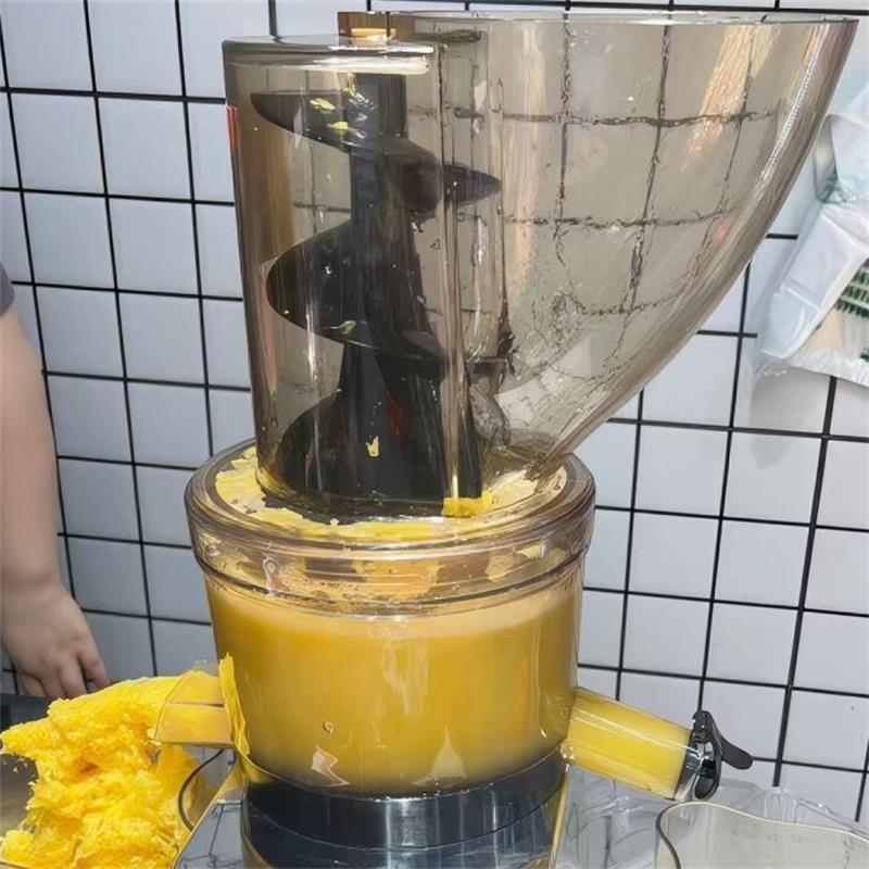 Juicer Cold Press Slow - 500W Ticari Yüksek Verimli Geniş Ağızlı