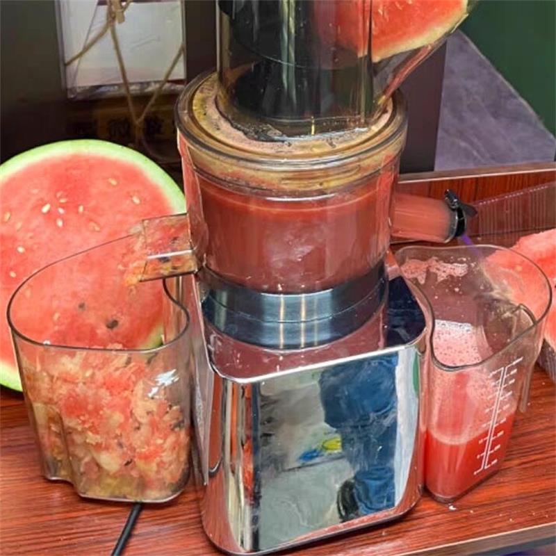 Juicer Cold Press Slow - 500W Ticari Kullanım Ev Tipi Yavaş